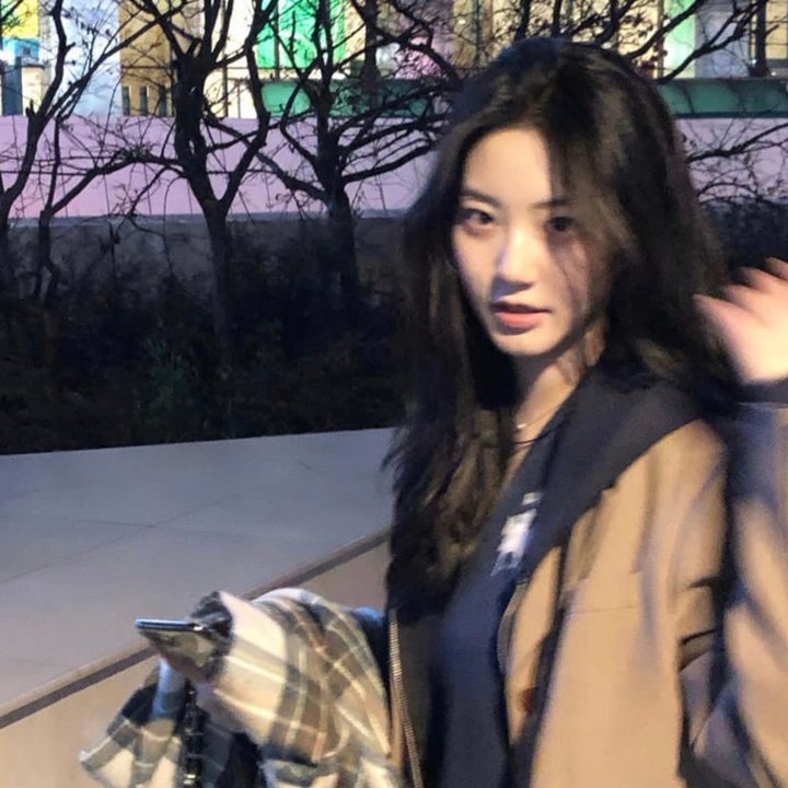 终结杉计划
