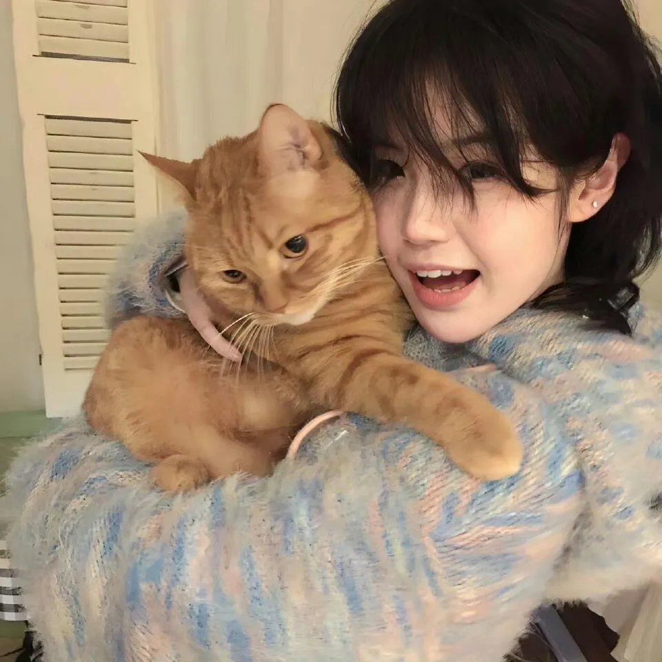 猪猪侠